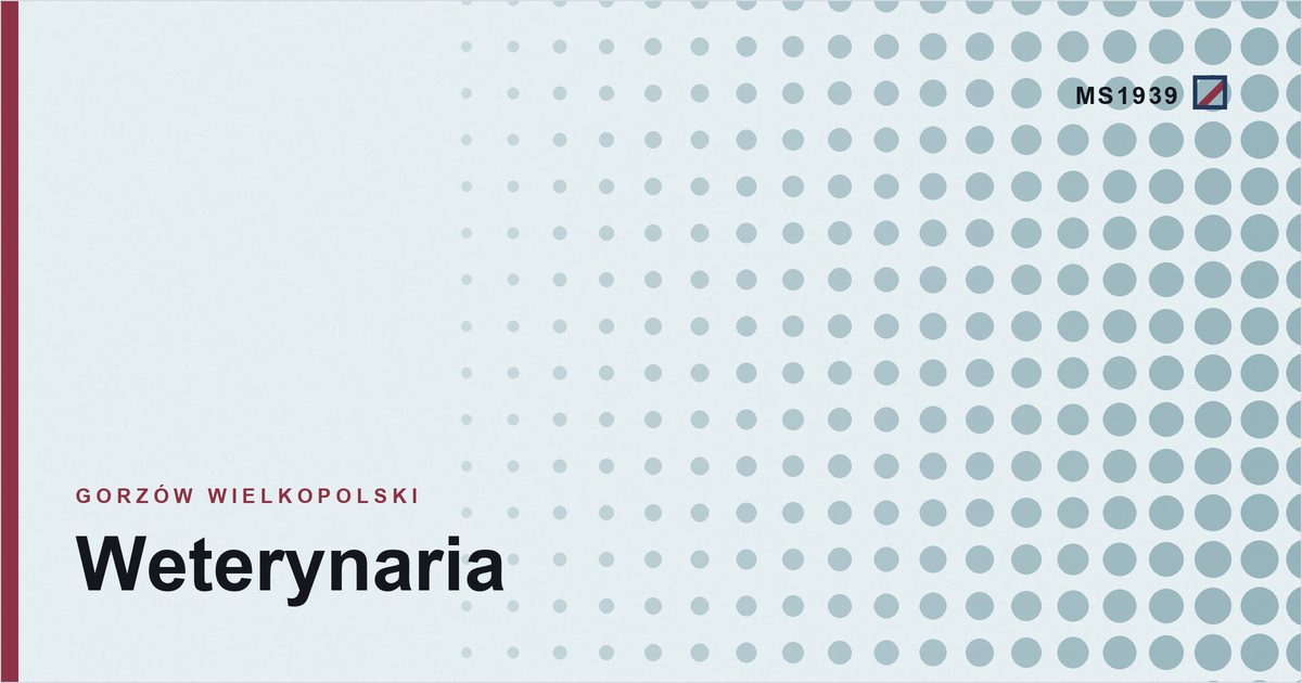 Grafika poglądowa kategorii weterynaria w Gorzowie Wielkopolskim