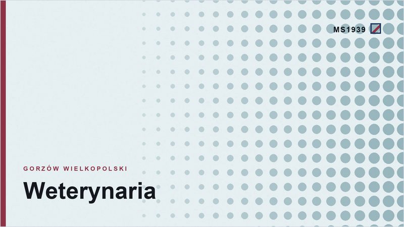 Grafika poglądowa kategorii weterynaria w Gorzowie Wielkopolskim